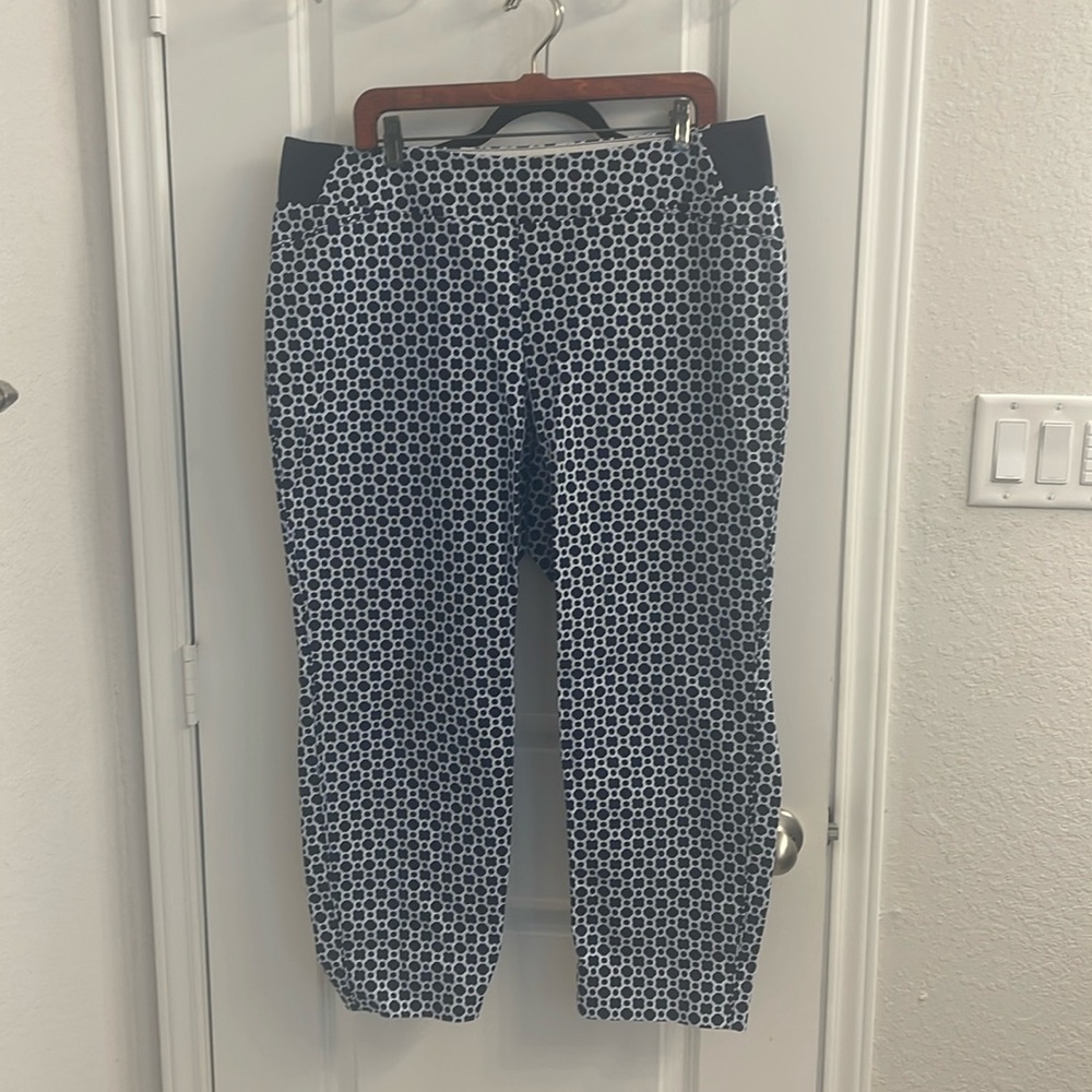 Investments Ankle Length Printed pants